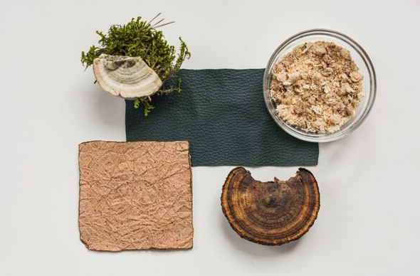 Woola、LivingPackets 和 Releaf Paper 入圍 LVMH 創(chuàng)新設(shè)計(jì)獎(jiǎng)決賽