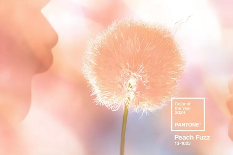 Pantone 2024年度顏色：新的一年，新的趨勢(shì)
